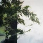Elena Guryeva The border of summer
